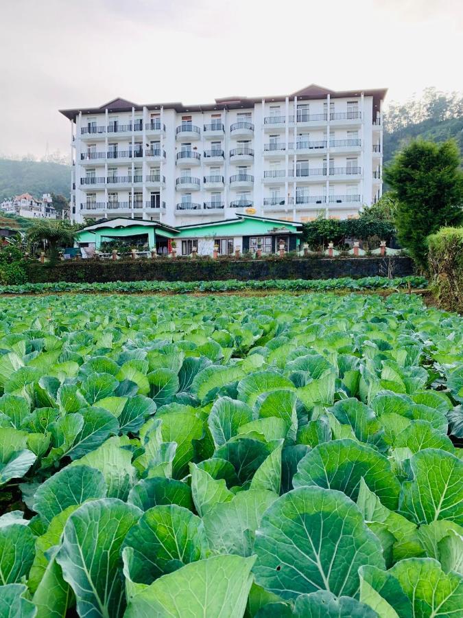 City Apartment'S Nuwara Eliya Kültér fotó