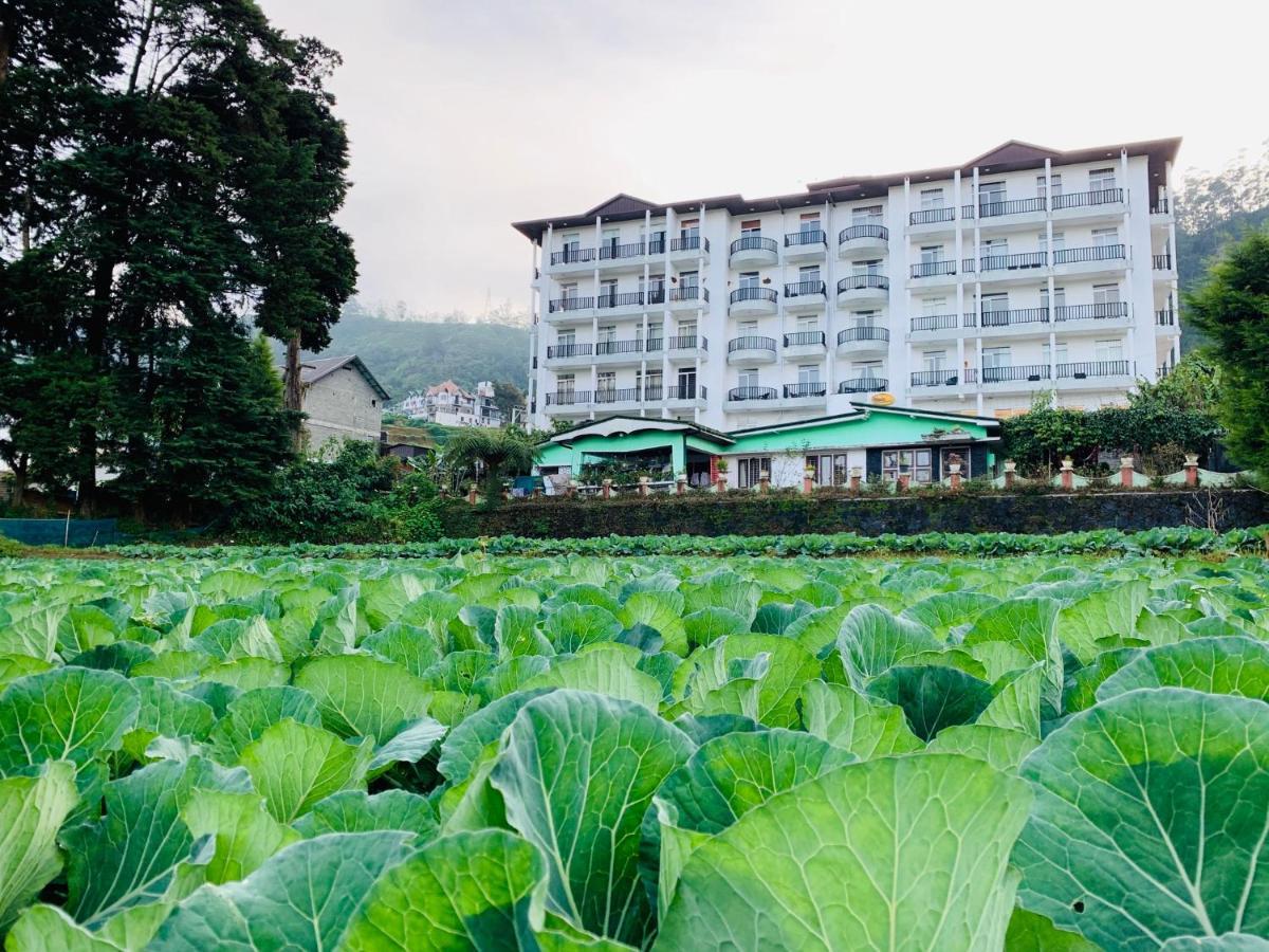 City Apartment'S Nuwara Eliya Kültér fotó